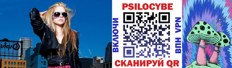 наркотики  Пошехонье  Псилоцибиновые грибы Psilocybine cubensis 