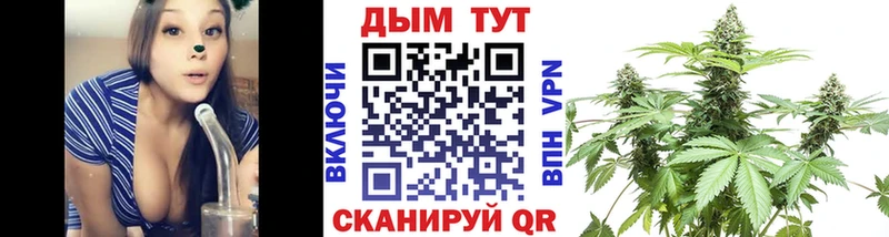 Бошки Шишки план  Пошехонье 